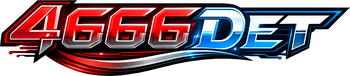 4666 det